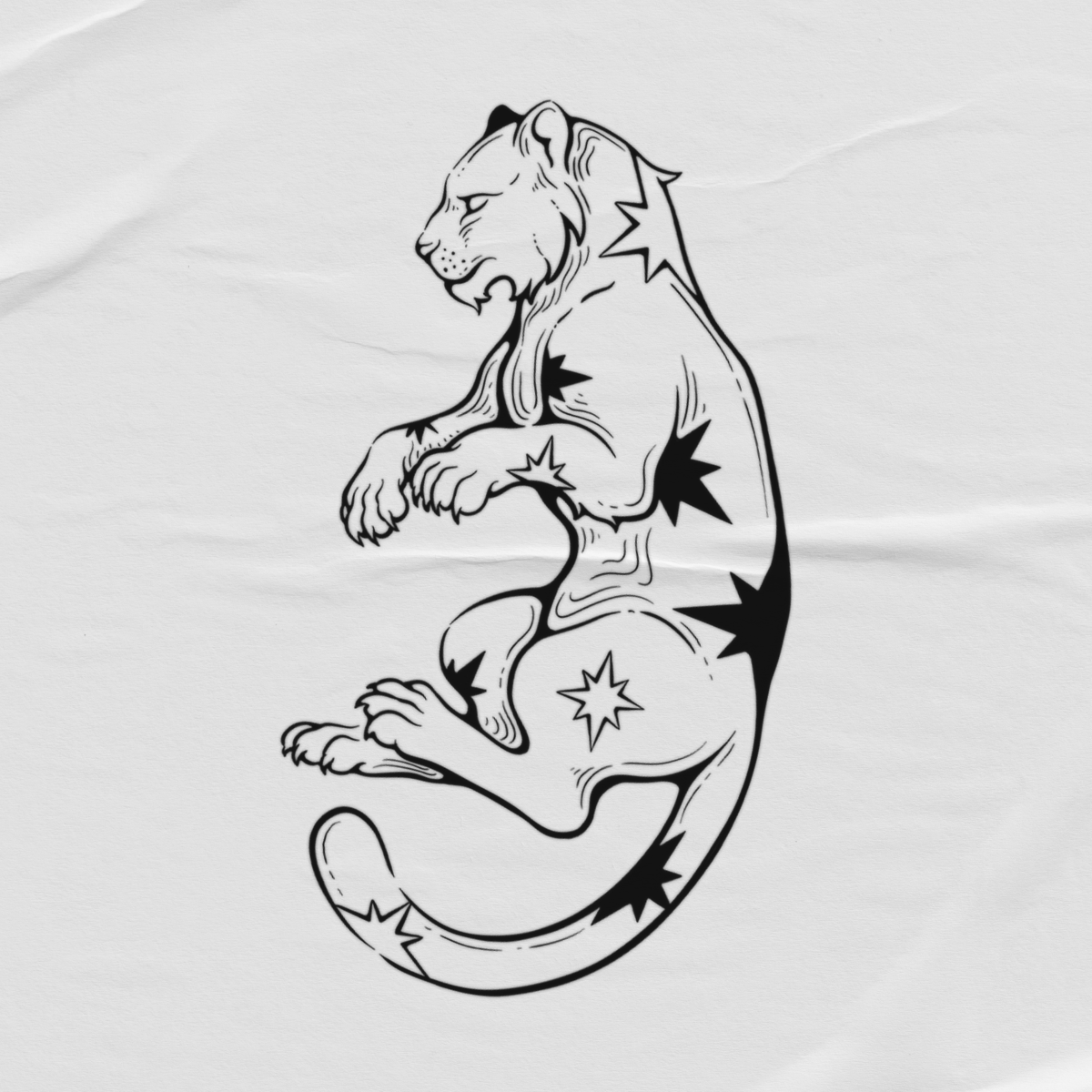 Tigre Astral Mágico