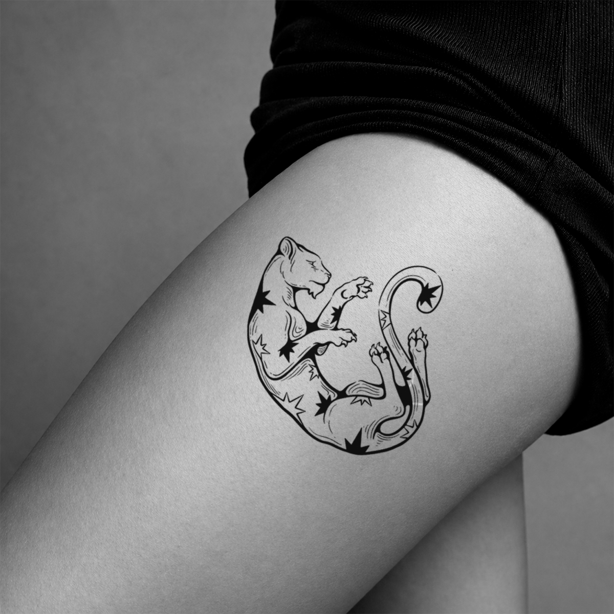 Tigre Astral Flotante